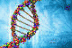 leggi tutto l'articolo Verso la vita artificiale: creato primo batterio con Dna espanso - Corriere della Sera Verso la vita artificiale: creato primo batterio con Dna espanso - Corriere della Sera