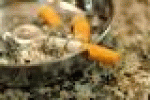 leggi tutto l'articolo Mamma che fuma mette a rischio anche i nipoti - Corriere della Sera Mamma che fuma mette a rischio anche i nipoti - Corriere della Sera