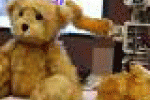 leggi tutto l'articolo Pet therapy hi-tech, l'orsetto robot che cura i bambini - Data manager online Pet therapy hi-tech, l'orsetto robot che cura i bambini - Data manager online