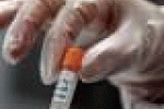 leggi tutto l'articolo Vaccino Ebola sarà pronto agli inizi del 2016, infuriano le polemiche - Baritalia News Vaccino Ebola sarà pronto agli inizi del 2016, infuriano le polemiche - Baritalia News