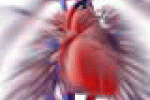Avere uno scopo nella vita salva il cuore: rischio infarto ridotto del ... - TGCOM
