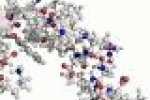 leggi tutto l'articolo Genetica: costruite due bozze del proteoma umano, 17.294 geni - AGI - Agenzia Giornalistica Italia Genetica: costruite due bozze del proteoma umano, 17.294 geni - AGI - Agenzia Giornalistica Italia