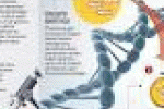 leggi tutto l'articolo I nostri geni come mattoni - Corriere della Sera I nostri geni come mattoni - Corriere della Sera