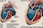 leggi tutto l'articolo Super-mappe 3D per ridare - Corriere della Sera Super-mappe 3D per ridare - Corriere della Sera