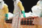 leggi tutto l'articolo Ebola: prima guarigione in Mali - TGCOM Ebola: prima guarigione in Mali - TGCOM