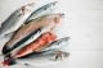 leggi tutto l'articolo Il pesce è uno scudo anti allergie - TGCOM Il pesce è uno scudo anti allergie - TGCOM