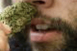 leggi tutto l'articolo Studio inglese: la «super-cannabis» causa un caso di psicosi su ... - Corriere della Sera Studio inglese: la «super-cannabis» causa un caso di psicosi su ... - Corriere della Sera