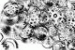 leggi tutto l'articolo Il cervello degli anziani è rallentato da troppe informazioni - La Stampa Il cervello degli anziani è rallentato da troppe informazioni - La Stampa