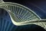 leggi tutto l'articolo Genetica: scoperto gene che controlla movimento dei muscoli - AGI - Agenzia Giornalistica Italia Genetica: scoperto gene che controlla movimento dei muscoli - AGI - Agenzia Giornalistica Italia