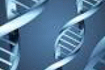 leggi tutto l'articolo Salute, Dna a portata di tutti con il test della saliva “fai da te” - Data manager online Salute, Dna a portata di tutti con il test della saliva “fai da te” - Data manager online