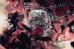leggi tutto l'articolo San Raffaele, terapia genica allunga la memoria delle cellule ... - TGCOM San Raffaele, terapia genica allunga la memoria delle cellule ... - TGCOM