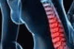 leggi tutto l'articolo Osteoporosi, un problema declinato al maschile - Emerge il Futuro Osteoporosi, un problema declinato al maschile - Emerge il Futuro