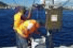 leggi tutto l'articolo Concordia: prelievi acqua ogni ora contro inquinamento - Corriere della Sera Concordia: prelievi acqua ogni ora contro inquinamento - Corriere della Sera