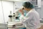 leggi tutto l'articolo Procreazione assistita: una nuova rete sicura e efficiente - Roma Daily News Procreazione assistita: una nuova rete sicura e efficiente - Roma Daily News