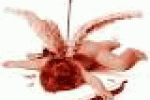 leggi tutto l'articolo Da Dna freccia Cupido,fa sbocciare amore - Corriere della Sera Da Dna freccia Cupido,fa sbocciare amore - Corriere della Sera