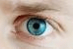 leggi tutto l'articolo Stampate per la prima volta cellule della retina, speranza contro la ... - TGCOM Stampate per la prima volta cellule della retina, speranza contro la ... - TGCOM