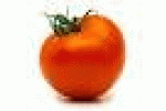 leggi tutto l'articolo Pomodoro superstar: taglia il rischio di cancro al seno - La Stampa Pomodoro superstar: taglia il rischio di cancro al seno - La Stampa