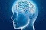 leggi tutto l'articolo Medicina: cervello produce 'valium naturale', frena crisi epilettiche - SassariNotizie.com Medicina: cervello produce 'valium naturale', frena crisi epilettiche - SassariNotizie.com