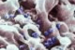 leggi tutto l'articolo Aids, testato il super anticorpo che riduce la presenza del virus Hiv ... - TGCOM Aids, testato il super anticorpo che riduce la presenza del virus Hiv ... - TGCOM