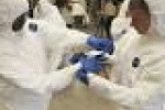 leggi tutto l'articolo Ebola, scattano le prime misure per la sicurezza negli aeroporti - Il Sole 24 Ore Ebola, scattano le prime misure per la sicurezza negli aeroporti - Il Sole 24 Ore