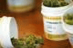 leggi tutto l'articolo Sperimentazione di farmaci da cannabis, via libera dal Consiglio ... - BariLive.it Sperimentazione di farmaci da cannabis, via libera dal Consiglio ... - BariLive.it