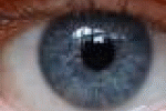 leggi tutto l'articolo La dieta giusta contro il glaucoma - Italiasalute.it La dieta giusta contro il glaucoma - Italiasalute.it