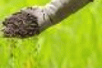 leggi tutto l'articolo Mela Stregata: sequestrate 65 tonnellate di falso fertilizzante biologico - GreenBiz.it Mela Stregata: sequestrate 65 tonnellate di falso fertilizzante biologico - GreenBiz.it