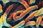 leggi tutto l'articolo Ebola, rischio di contagio con sesso anche dopo la guarigione - Corriere della Sera Ebola, rischio di contagio con sesso anche dopo la guarigione - Corriere della Sera