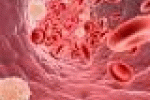leggi tutto l'articolo Tumori e colesterolo, quello strano legame - Italiaglobale.it Tumori e colesterolo, quello strano legame - Italiaglobale.it