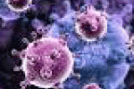 leggi tutto l'articolo Scoperti farmaci antivirali per combattere l'Epatite ma mancano i fondi - Tuttouomini Scoperti farmaci antivirali per combattere l'Epatite ma mancano i fondi - Tuttouomini