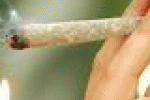 leggi tutto l'articolo La marijuana fa dimagrire e allontana il diabete - Today La marijuana fa dimagrire e allontana il diabete - Today