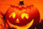leggi tutto l'articolo Halloween: Coldiretti, resiste la zucca 1-1, 5 euro al kg - AGI - Agenzia Giornalistica Italia Halloween: Coldiretti, resiste la zucca 1-1, 5 euro al kg - AGI - Agenzia Giornalistica Italia