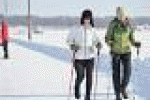 leggi tutto l'articolo Nordic-walking promossa da medici per problemi cuore e obesi - ANSA.it Nordic-walking promossa da medici per problemi cuore e obesi - ANSA.it
