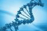 Nel nostro Dna presenti virus amici del cervello - Impronta Unika