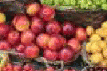 Più frutta, più vita: altri 200 grammi al giorno, meno 20mila decessi ... - TGCOM
