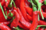 leggi tutto l'articolo Il peperoncino allunga la vita, «stoppa» il dolore - Salute24 - Il Sole 24 Ore Il peperoncino allunga la vita, «stoppa» il dolore - Salute24 - Il Sole 24 Ore