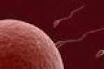 leggi tutto l'articolo Allarme pesticidi in frutta e verdura: riducono la fertilità maschile - La Repubblica Allarme pesticidi in frutta e verdura: riducono la fertilità maschile - La Repubblica