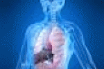 leggi tutto l'articolo Un topo trasparente, un incredibile miracolo della scienza - MondialiBrasile.com Un topo trasparente, un incredibile miracolo della scienza - MondialiBrasile.com