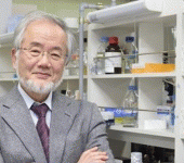 leggi tutto l'articolo Il Nobel per la medicina al giapponese Ohsumi: scoprì i meccanismi dell'autofagia Il Nobel per la medicina al giapponese Ohsumi: scoprì i meccanismi dell'autofagia
