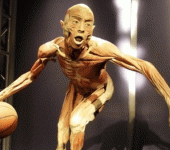 leggi tutto l'articolo Malato terminale esprime il desiderio di farsi "plastinare" come nella mostra Real Bodies Malato terminale esprime il desiderio di farsi "plastinare" come nella mostra Real Bodies