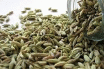 leggi tutto l'articolo Preparazioni dimagranti in farmacia: vietati anche finocchio e tè verde Preparazioni dimagranti in farmacia: vietati anche finocchio e tè verde