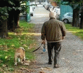 Cardiopatici, un cane allunga la vita: adozioni in ospedale