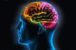 leggi tutto l'articolo Nevrotici o altruisti: ogni personalità ha una diversa forma del cervello Nevrotici o altruisti: ogni personalità ha una diversa forma del cervello