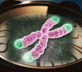 leggi tutto l'articolo Scienza, scoperte molecole che bloccano l'invecchiamento cellulare Scienza, scoperte molecole che bloccano l'invecchiamento cellulare