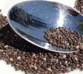 leggi tutto l'articolo Semi di chia, un concentrato di calcio e Omega3. Ecco tutte le proprietà benefiche Semi di chia, un concentrato di calcio e Omega3. Ecco tutte le proprietà benefiche