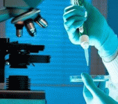 leggi tutto l'articolo La Germania lancia l'allarme: i superbatteri resistenti agli antibiotici stanno colonizzando laghi e fiumi La Germania lancia l'allarme: i superbatteri resistenti agli antibiotici stanno colonizzando laghi e fiumi
