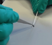 leggi tutto l'articolo Un micro-robot di due millimetri per esplorare il corpo umano Un micro-robot di due millimetri per esplorare il corpo umano