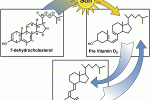 Impianti in titanio con 7-deidrocolesterolo-UV irradiato favoriscono il differenziamento osteogenico