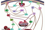leggi tutto l'articolo Trattamento con sorafenib dopo trapianto di staminali in Leucemia Mieloide Acuta FLT3/ITD+ Trattamento con sorafenib dopo trapianto di staminali in Leucemia Mieloide Acuta FLT3/ITD+