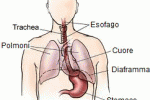 leggi tutto l'articolo ACALASIA ESOFAGEA ACALASIA ESOFAGEA
